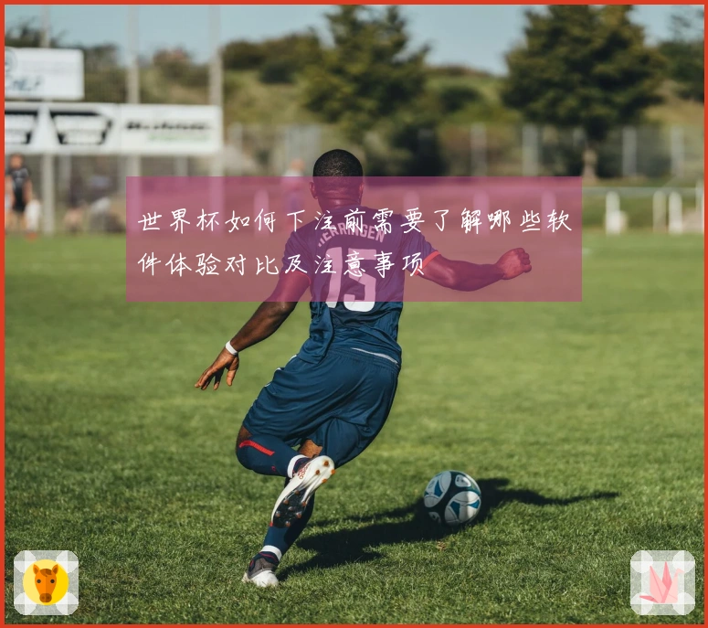 世界杯如何下注前需要了解哪些软件体验对比及注意事项